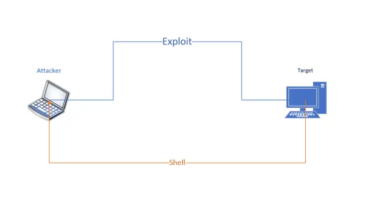 lingo networks