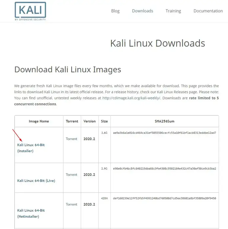 Install Kali Linux 2020.2 in Dual Boot with Windows 10